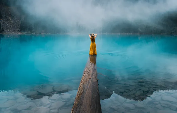 Forest, water, girl, nature, fog, lake, stones, tree