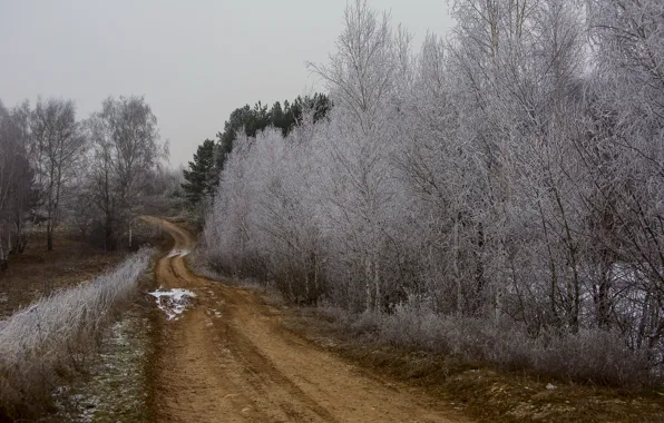 Frost, road, autumn, trees, nature