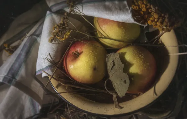 Leaves, drops, branches, apples, towel, yellow, still life, tansy