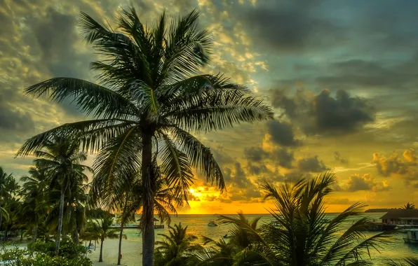 Sand, sea, beach, the sky, clouds, sunset, tropics, palm trees
