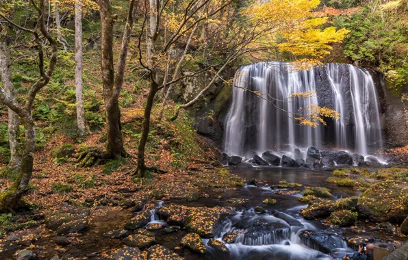 Autumn, forest, landscape, river, rocks, waterfall, forest, river