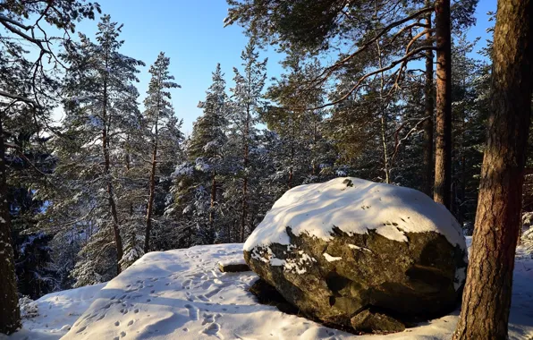 Nature, Winter, Snow, Stone