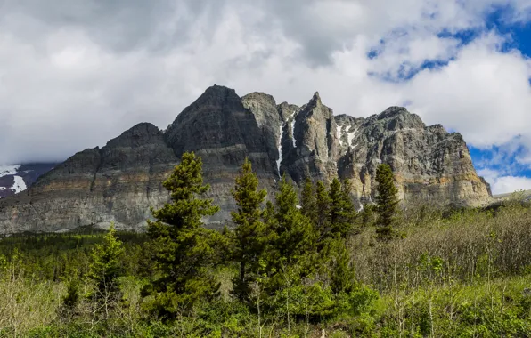 Trees, mountains, rocks, USA, Glacier