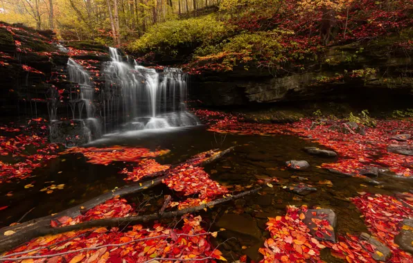 Picture autumn, leaves, red, stones, foliage, waterfall