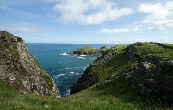 Sea, the sky, grass, shore, horizon