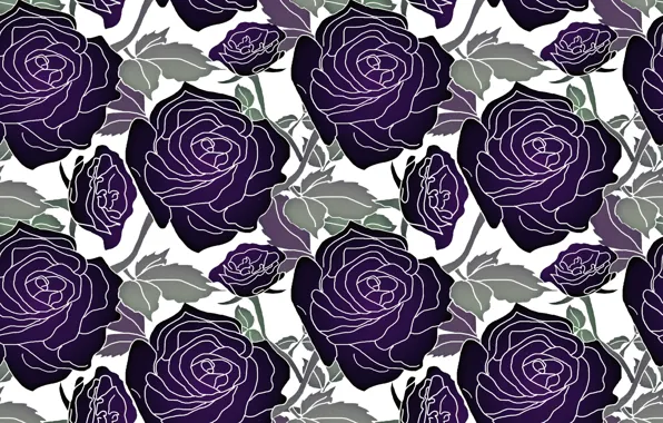 Picture white, leaves, flowers, background, pattern, roses, vector