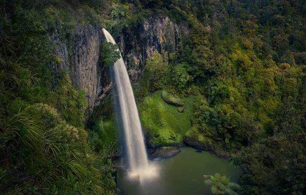Forest, rock, river, waterfall, stream, New Zealand, New Zealand, Waikato