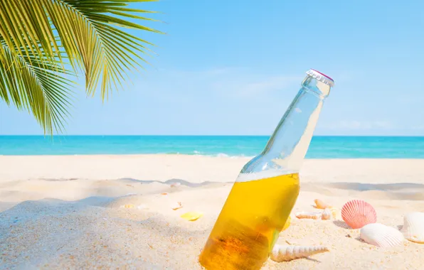 Sand, sea, beach, summer, palm trees, stay, beer, shell