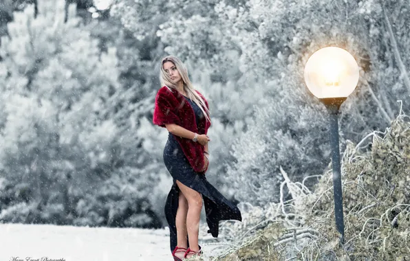 Picture winter, girl, snow, pose, the wind, model, dress, lights