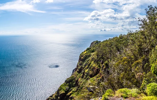 Picture sea, the sky, clouds, trees, rocks, coast, height, horizon
