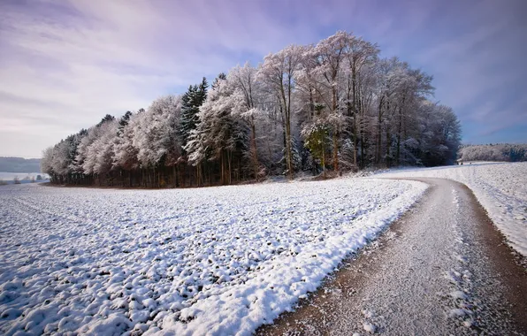 Picture winter, road, snow, trees, landscape, beauty