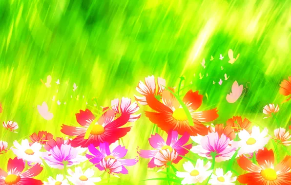 Picture flowers, nature, collage, butterfly, petals, meadow, postcard, kosmeya