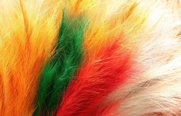 Colored, fluffy, twigs