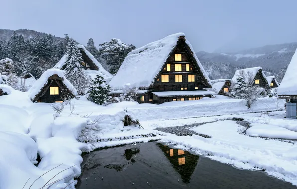 Winter, forest, snow, trees, lake, house, hut, forest