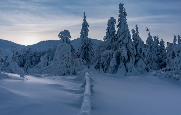 Winter, frost, field, forest, the sky, clouds, snow, mountains
