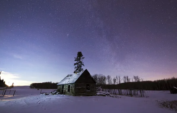 Picture winter, the sky, stars, house