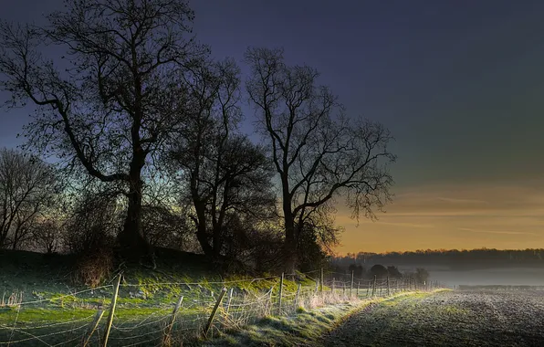 Picture field, landscape, fog, the fence