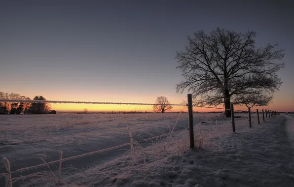 Winter, field, sunset, the fence
