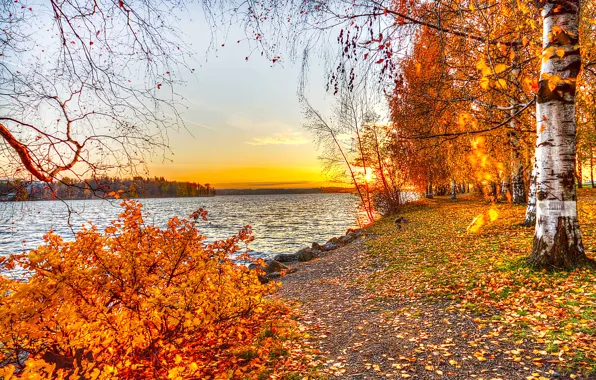 Picture autumn, leaves, trees, landscape, sunset, nature, lake