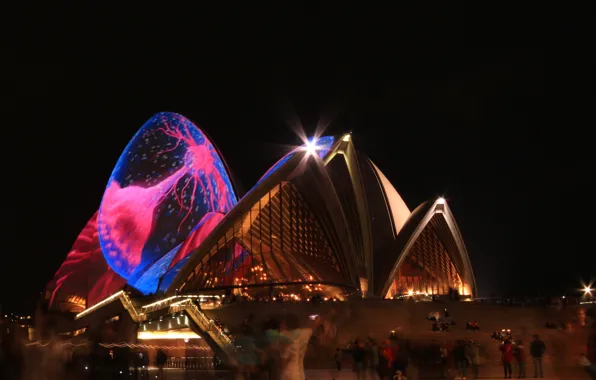 Night, lights, Australia, theatre, Sydney