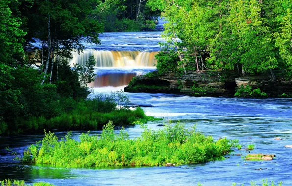 Picture greens, forest, trees, river, USA, Tahquamenon River