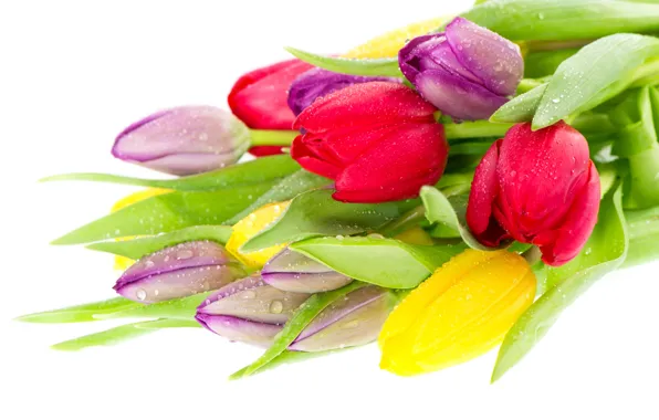 Picture bouquet, yellow, tulips, red, lilac