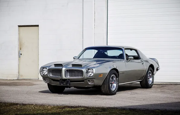 Picture Pontiac, Pontiac, Firebird, 1972, Firebird.