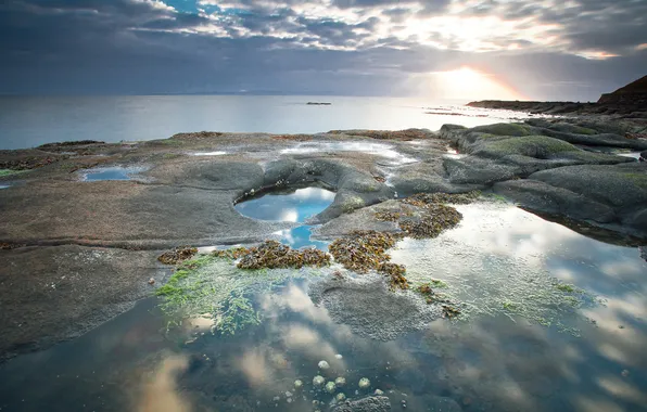 Picture sea, algae, clouds, stones