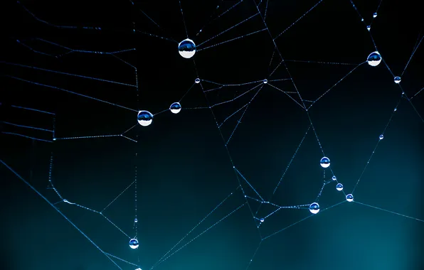 Drops, Web, thread