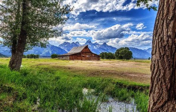 Field, trees, landscape, mountains, home