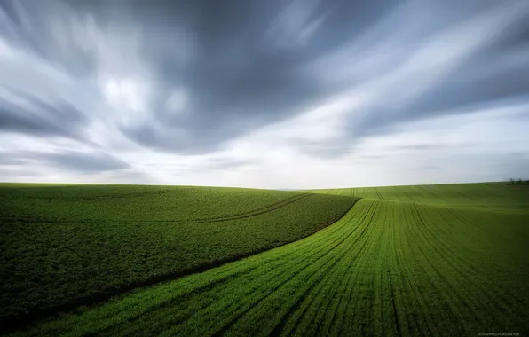 Picture the sky, clouds, the wind, field, spring, green, carpets