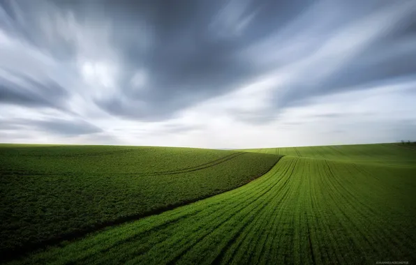 The sky, clouds, the wind, field, spring, green, carpets