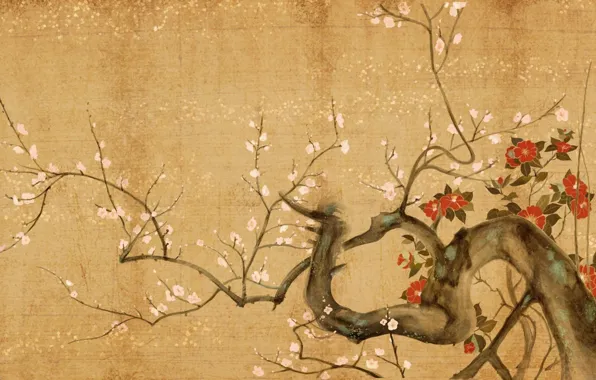 Picture flowers, tree, Sakura