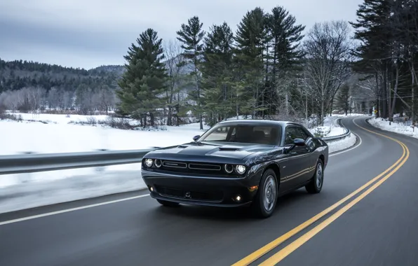 Picture Road, Dodge, Challenger, Car, AWD, 2017, Metallic