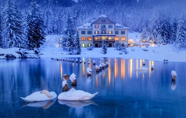 Winter, snow, trees, birds, lake, house, ate, Alps