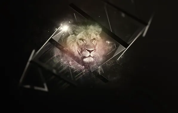 Black, lion, background