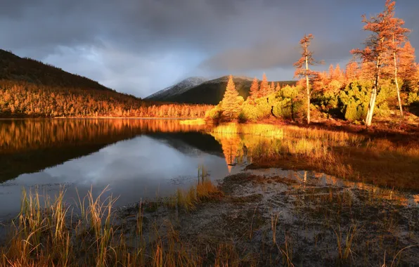 Picture autumn, landscape, nature, fog, lake, dawn, hills, morning
