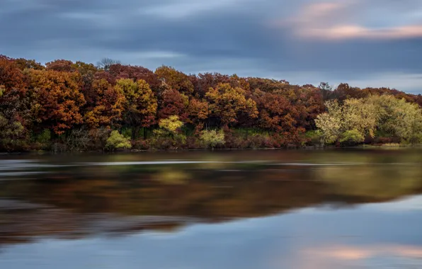 Picture the sky, water, trees, clouds, surface, reflection, river, Autumn