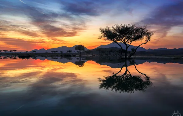 Landscape, sunset, nature, lake, reflection, tree