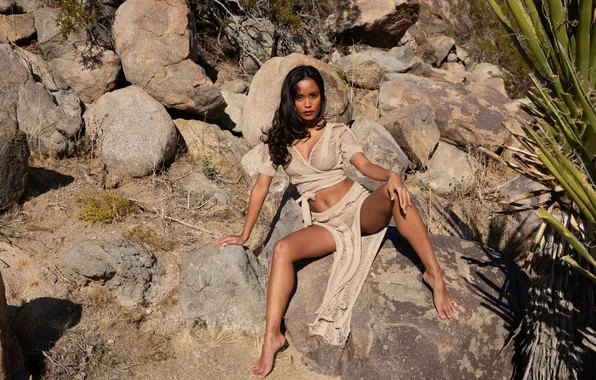 Cleavage, long hair, desert, rocks, model, gorgeous, photoshoot, posing