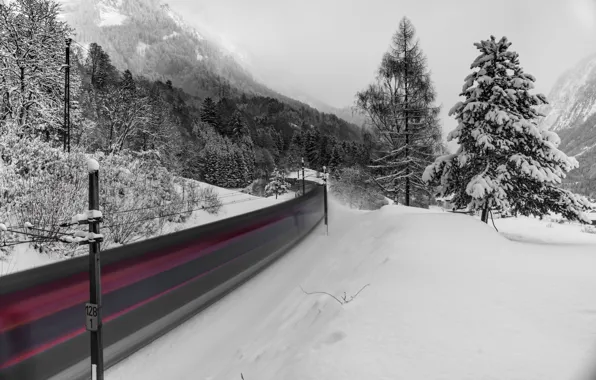 Winter, road, lights