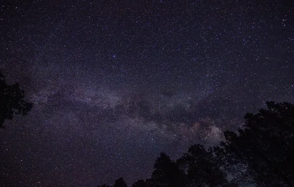 Picture stars, night, the milky way