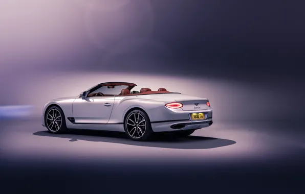 Bentley, Continental GT, rear view, Convertible, 2019
