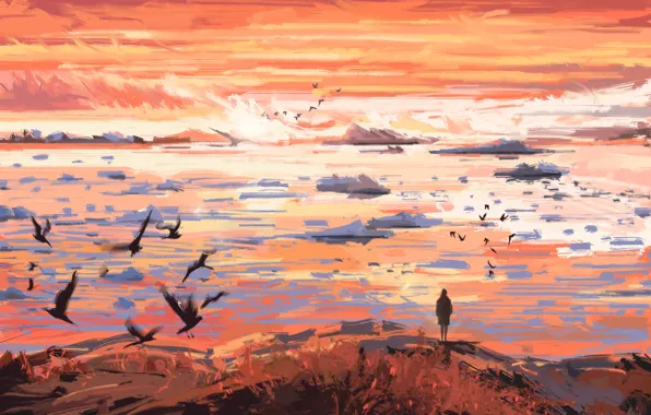 Sea, wave, girl, sunset, seagulls