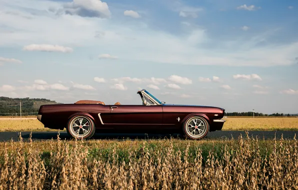 Picture car, Mustang, Ford, road, sky, Ringbrothers, 1965 Ford Mustang Convertible, Ford Mustang Uncaged