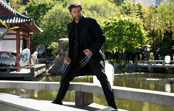 Picture Wolverine, Hugh Jackman, Logan, Hugh Jackman, The Wolverine, Wolverine: The Immortal