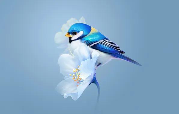 Picture flower, bird, sitting