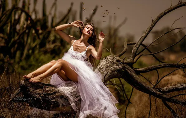 Picture girl, trees, pose, butterfly, legs, beauty