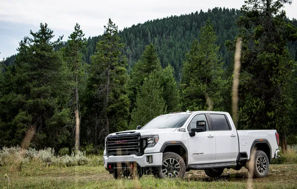 Picture forest, grass, trees, meadow, pickup, GMC, Sierra, AT4