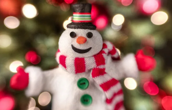 Joy, lights, smile, holiday, hat, toy, new year, scarf